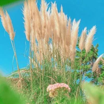 学a学abc26个字母游戏c26个字母儿歌（学abc26个字母游戏）