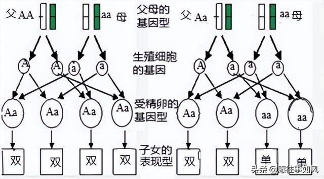 手写委托书可以吗（委托书全部手写有效吗）