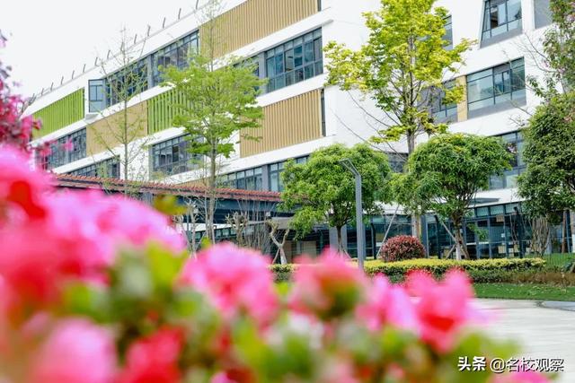 小学校歌歌词大全（经典校歌歌词大全）