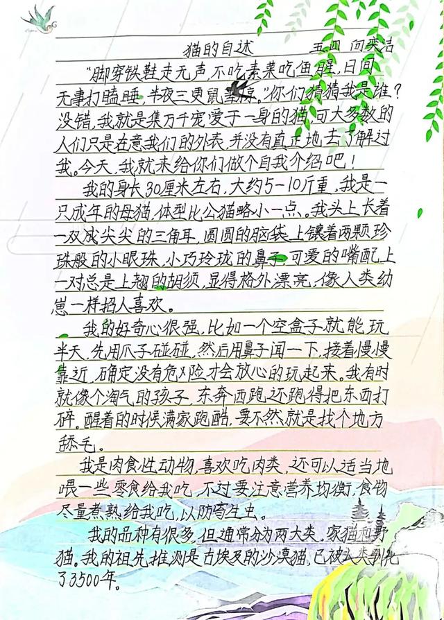 优秀中队介绍（班级中队介绍）