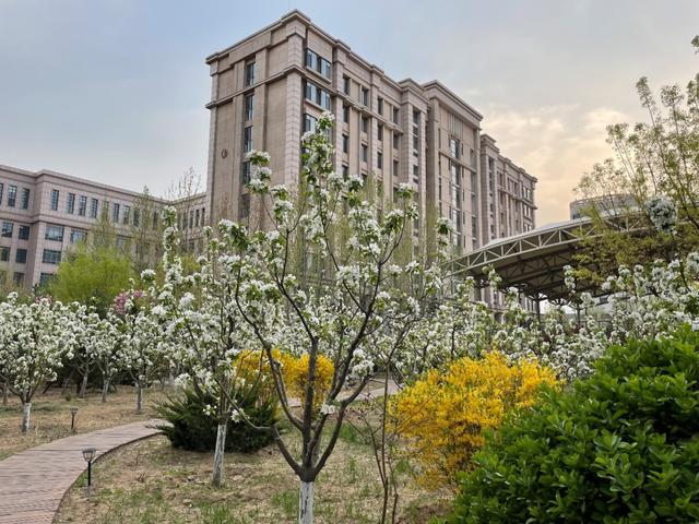 与法同行，以案学法｜ 最高人民法院司法案例研究院实习日记