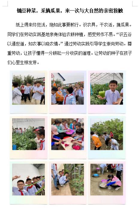 小学班级简介200字（小学班级简介50字左右小学一年级）