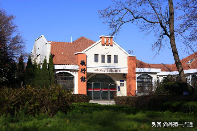 专家简介模板ppt（郑子新301医院营养专家简介）