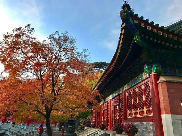 苏轼五言绝句100首（最美五言绝句100首）