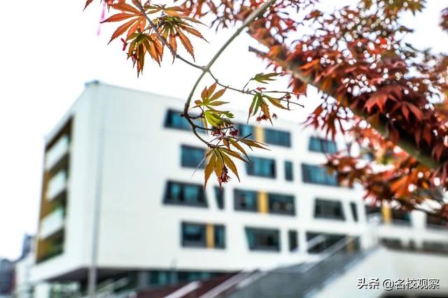 小学校歌歌词大全（经典校歌歌词大全）