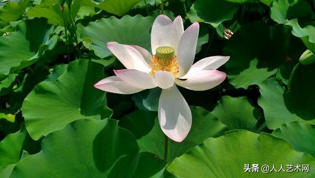 摄影散文500字加图片（摄影散文500字）