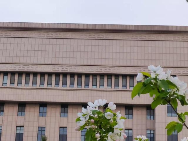 与法同行，以案学法｜ 最高人民法院司法案例研究院实习日记