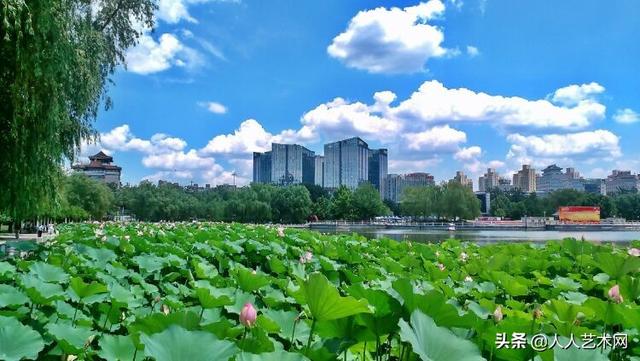 摄影散文500字加图片（摄影散文500字）