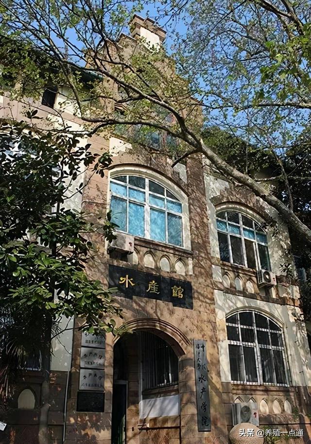 专家简介模板ppt（郑子新301医院营养专家简介）