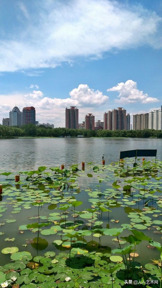 摄影散文500字加图片（摄影散文500字）