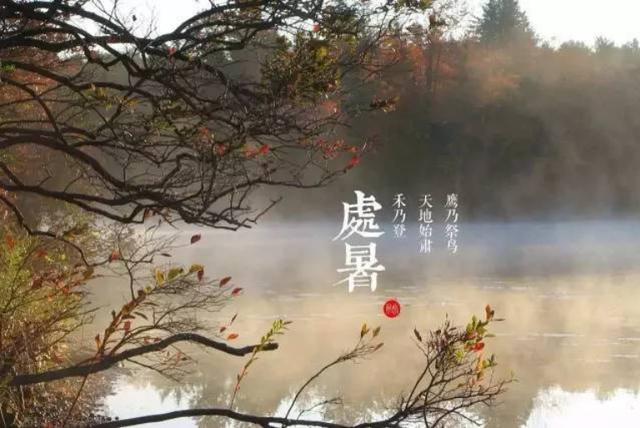 苏轼五言绝句100首（最美五言绝句100首）