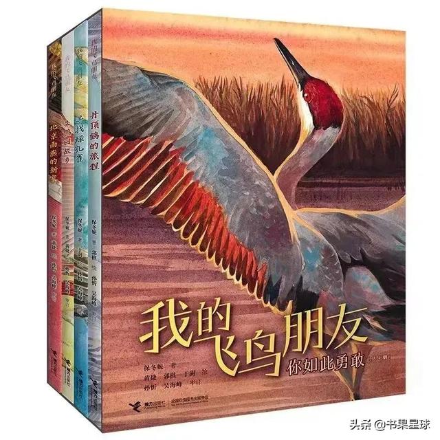 小王子推荐理由10字（小王子推荐理由50个字）