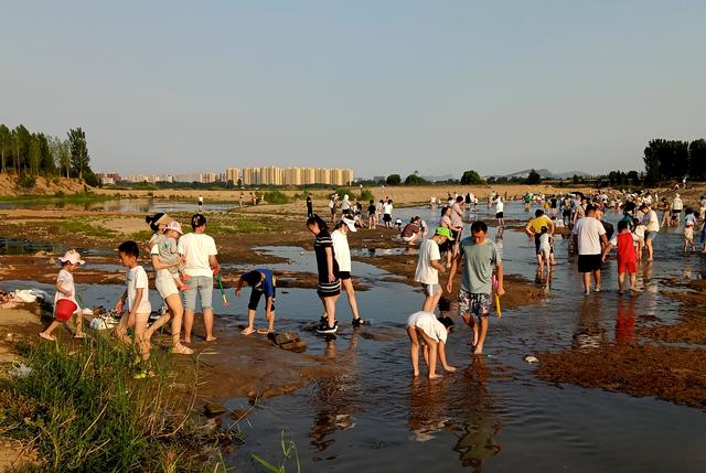 摄影散文怎么写景（什么是摄影散文怎么写）