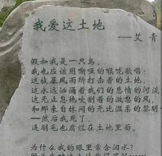 仿写我爱这土地假如我是一朵云（我爱这仿写我爱这土地）