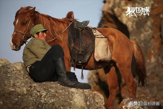 狼图腾读书笔记摘抄好词好句（狼图腾读书笔记3000字）