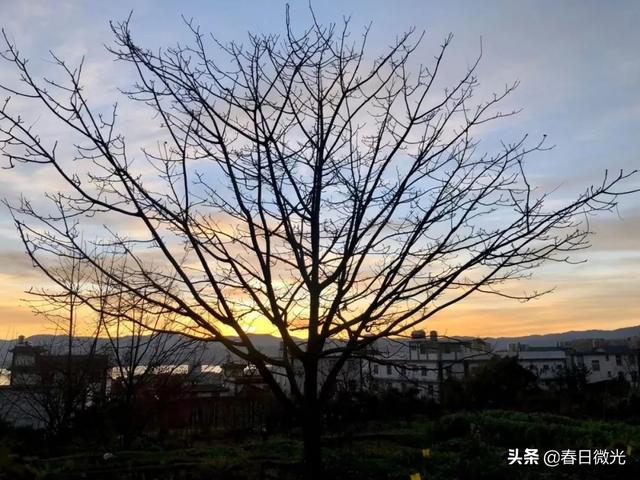 中班幼儿成长点滴记录（高中综合素质评价点滴记录）