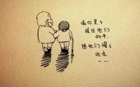网络情感文章（网络情感美文短篇）