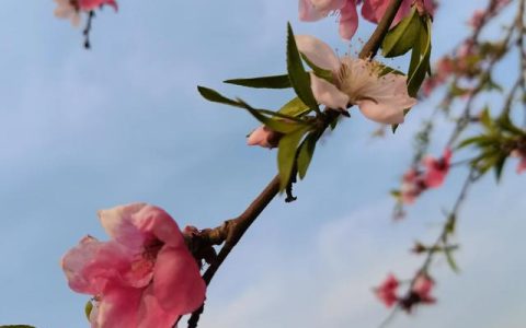 春雨日记200字三年级（春雨日记200字）