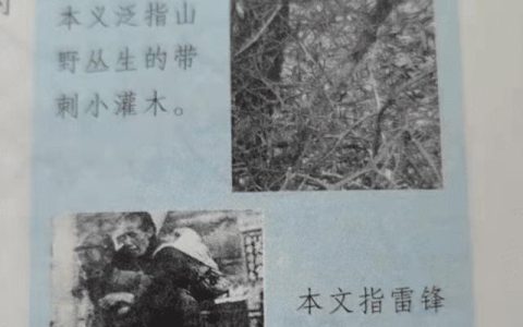 严查！陕西出版社离谱教辅：将侵华日军美化成雷锋做好事配图