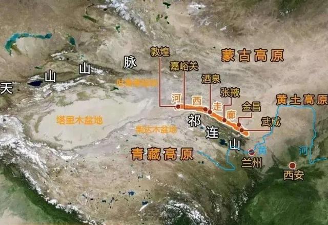 倔强的坚强吉他谱（倔强的坚强这首歌）