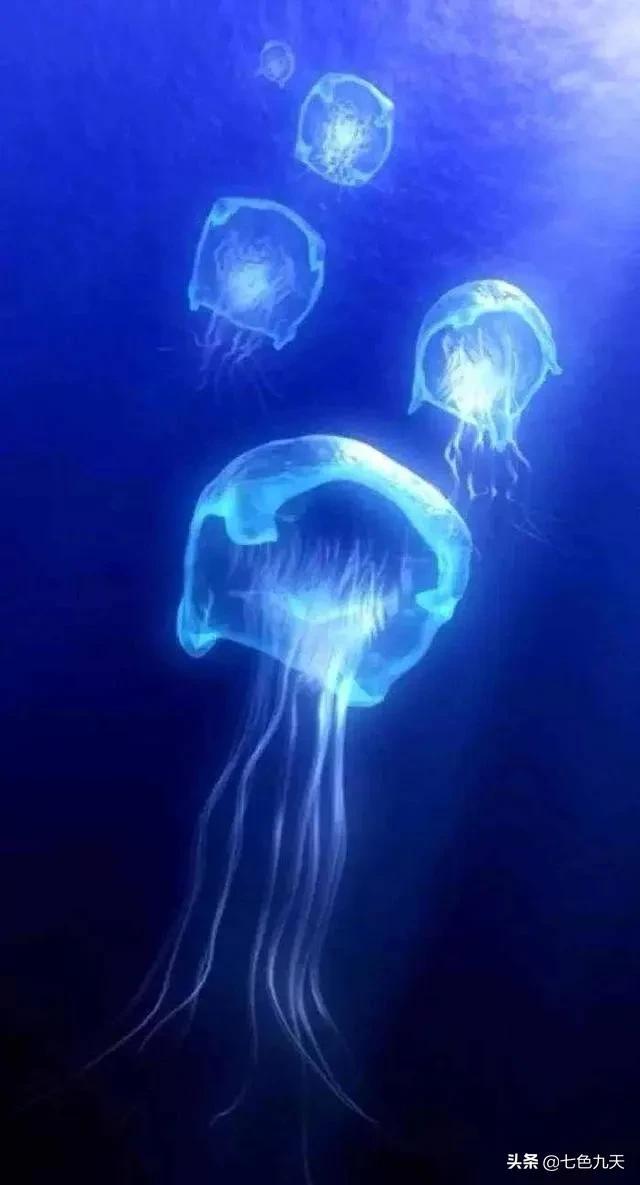 笔尖流出的故事300字六年级（笔尖流出的故事六年级作文400字陆天）