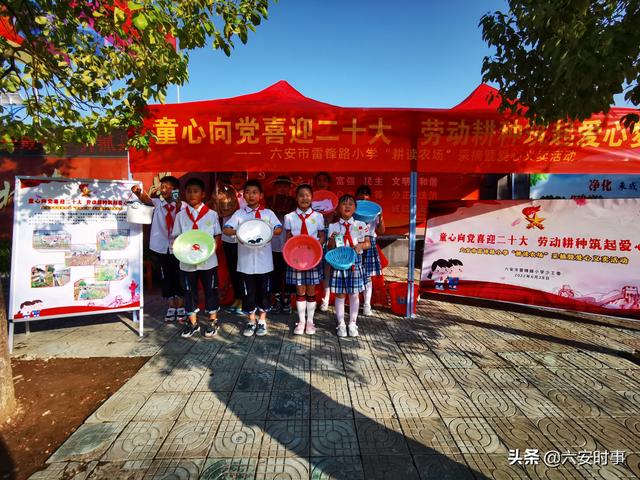 采摘活动英语（采摘活动照片）
