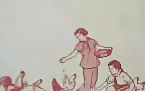 小学一年级数学训练题口算题（小学一年级数学训练题免费打印）