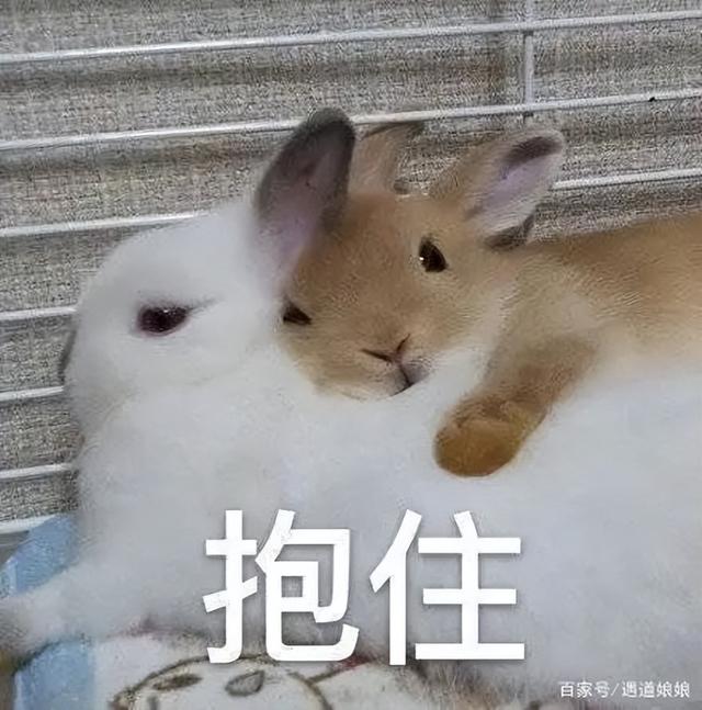 个人目标与组织目标无法协调（个人目标应当无条件服从于组织目标）