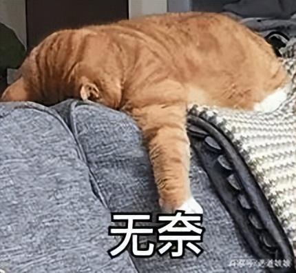 个人目标与组织目标无法协调（个人目标应当无条件服从于组织目标）