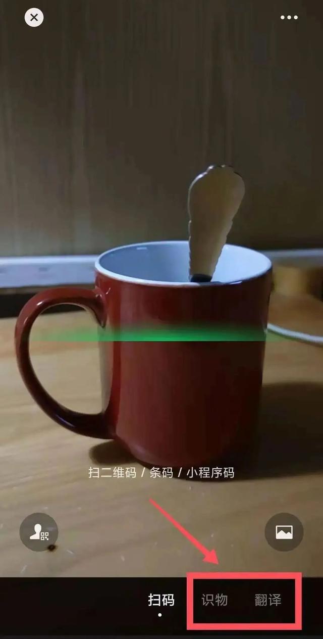看图识物软件（看图识物百度识图）