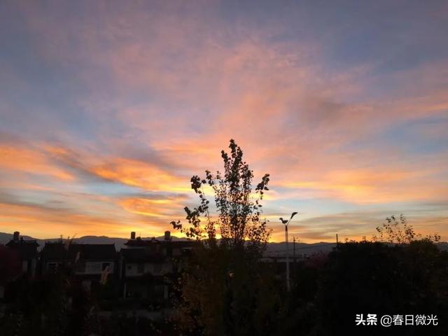 中班幼儿成长点滴记录（高中综合素质评价点滴记录）