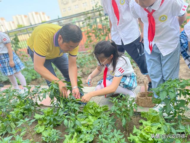 采摘活动英语（采摘活动照片）