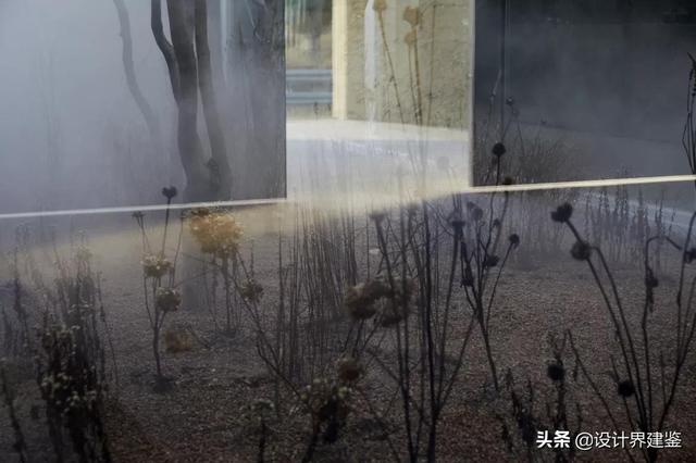 咖啡厅设计说明800字（咖啡厅设计说明总结）
