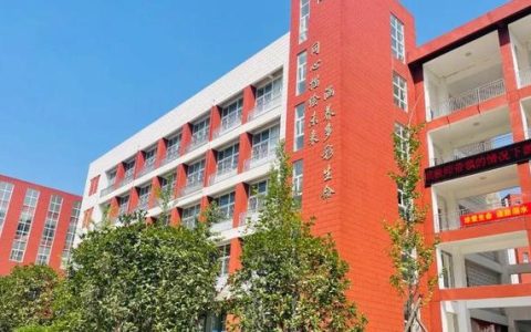 小学美术教师简介（美术教师简介模板100字）