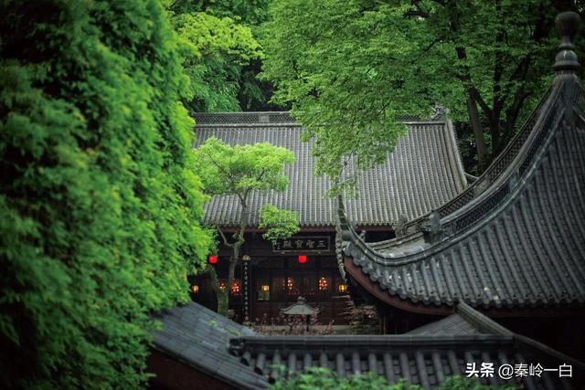 开显解脱道仪轨视频（开显解脱道仪轨念诵）
