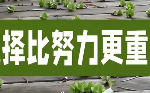 学习工厂管理（工厂管理培训课程）