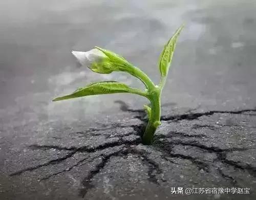教学感悟随笔一句话数学（教学感悟随笔一句话二年级）