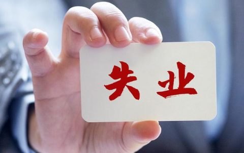 找变化游戏（找变化无穷最大只的生肖）