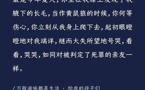 我眼中的孩子简短的评价（我眼中的孩子说运动故事）