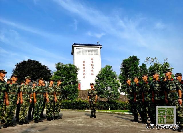 兵哥干死我（平凡铸就伟大！且看兵哥哥不一般的“夜生活”）
