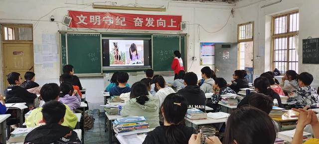 安全教育主题班会感想（精彩人生与法同行主题班会感想）