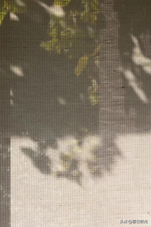 中班幼儿成长点滴记录（高中综合素质评价点滴记录）
