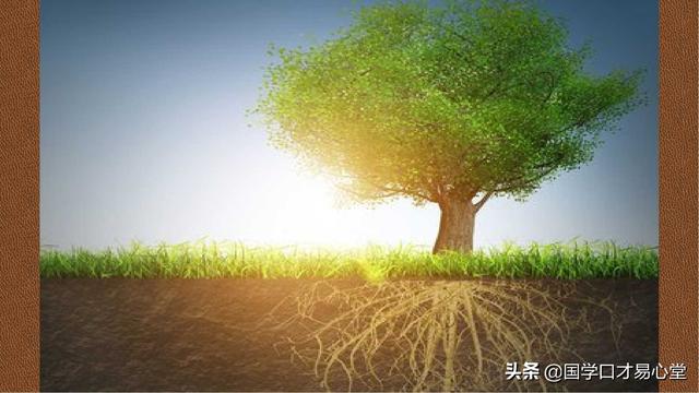 良好的习惯（如何教育孩子养成良好的学习习惯）