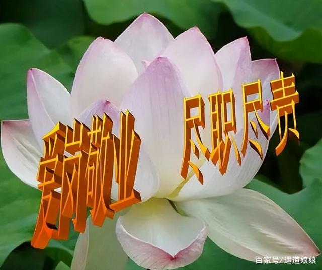 个人目标与组织目标无法协调（个人目标应当无条件服从于组织目标）