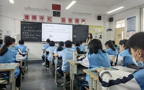 石崖上的枣树阅读题（石崖上的枣树每段的赏析）
