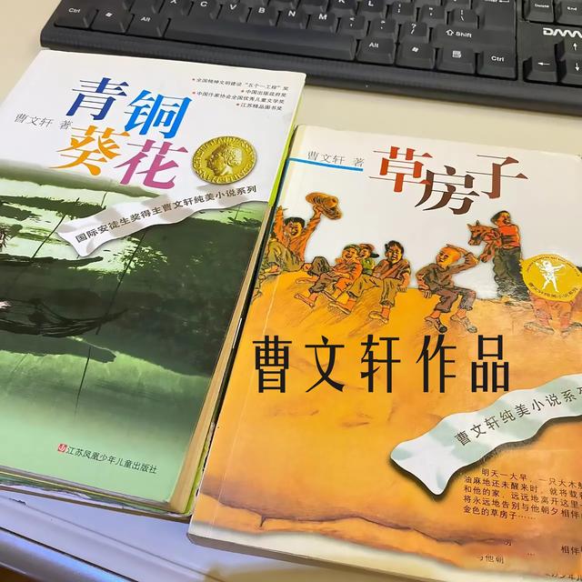 阅读儿童文学作品对儿童成长的作用（幼儿文学鉴赏是人们在阅读儿童文学）