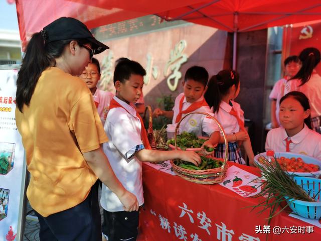 采摘活动英语（采摘活动照片）