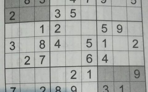 九宫格数字游戏1-9（九宫格数字游戏有什么规律）