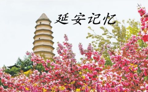 十七大精神时间（十七大精神总结）