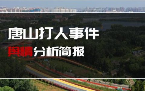 网络舆情信息摘报模板（网络舆情信息摘报的单位名称怎么写）